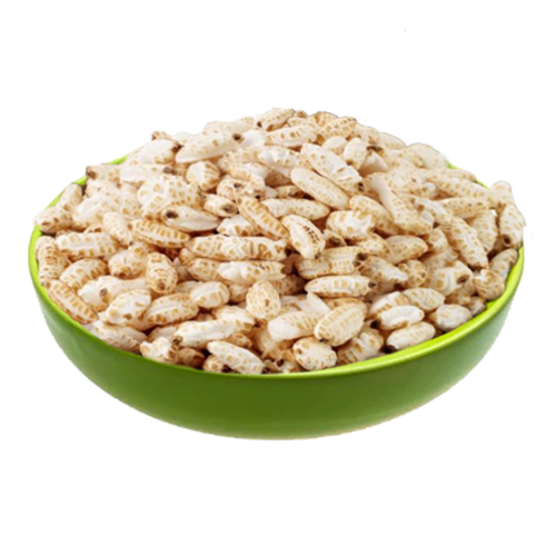 category-01